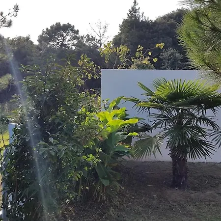 Vakantiehuis Charmante Maison Vendeenne Proche De La *