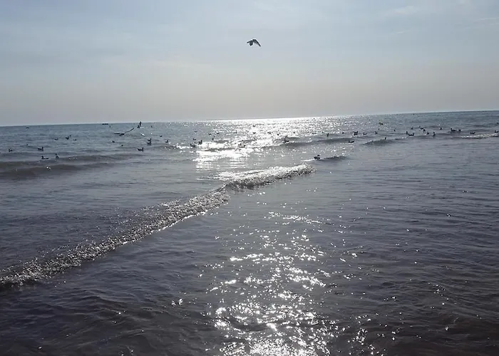 Charmante Maison Vendeenne Proche De La * Notre-Dame-de-Monts