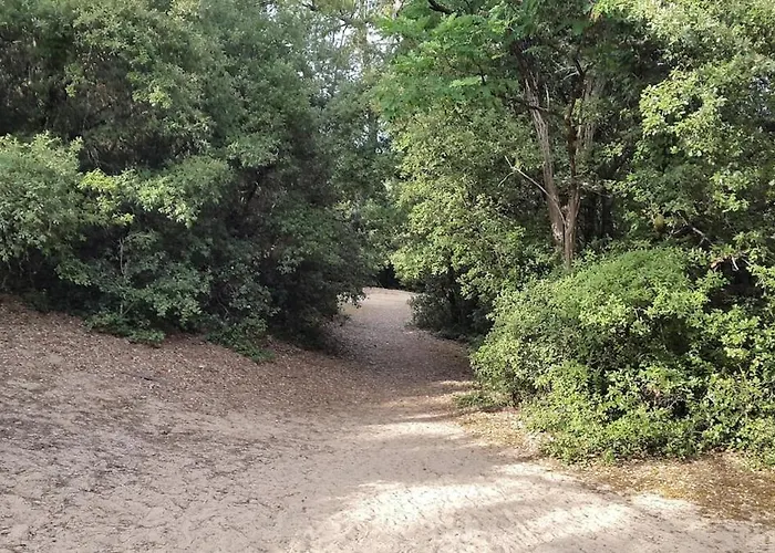 Charmante Maison Vendeenne Proche De La * Notre-Dame-de-Monts