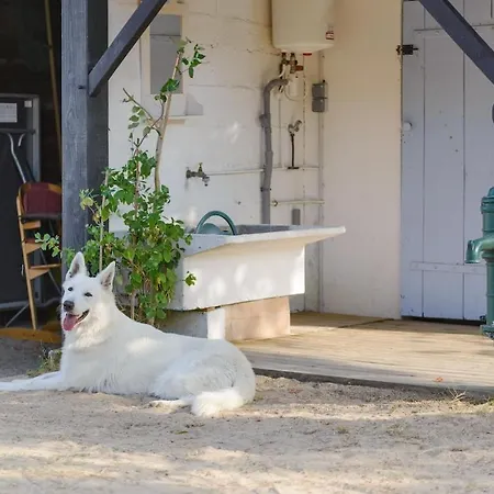Charmante Maison Vendeenne Proche De La *