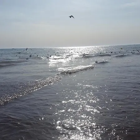 Charmante Maison Vendeenne Proche De La * ノートル・ダム・ド・モン