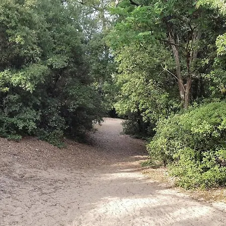Charmante Maison Vendéenne Proche De La * Notre-Dame-de-Monts