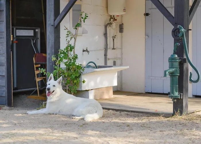 Charmante Maison Vendéenne Proche De La *