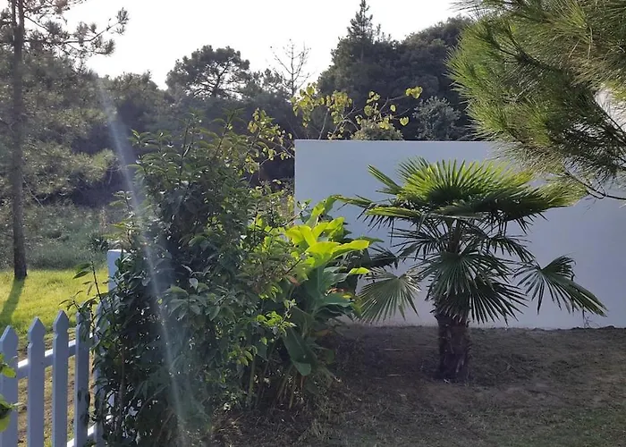 Casa vacanze Charmante Maison Vendéenne Proche De La *